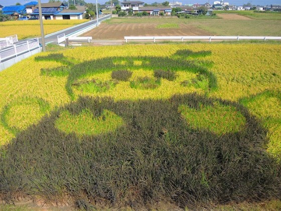 ⑥新発見ふかや部門　田んぼｱｰﾄふっかちゃん　竹内俊雄