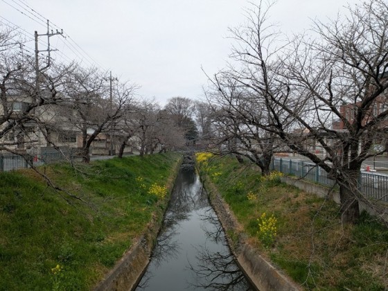PXL_20250328_000633804