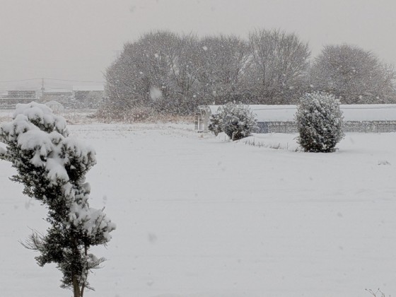 PXL_20260207_220234000.MP_20260208093338