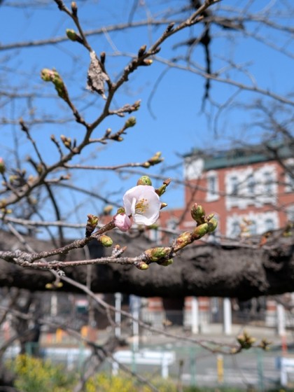 PXL_20260321_020845681_20260321111617