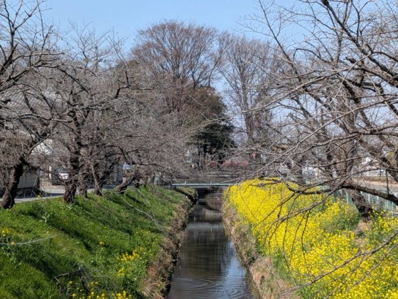 PXL_20260321_021214955_20260321111615