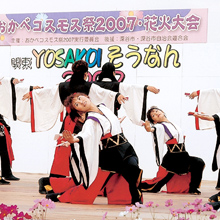 おかべコスモス祭
