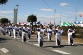 13写コン08 岡部コスモス祭り