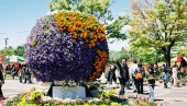 13写コン15 花の地球儀