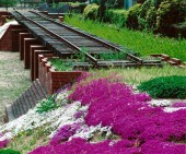 13写コン21 福川鉄橋の春