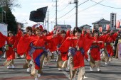 13写コン16 コスモス祭り