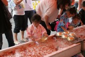 13写コン20 金魚すくい