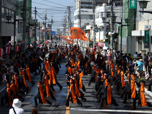 花こい